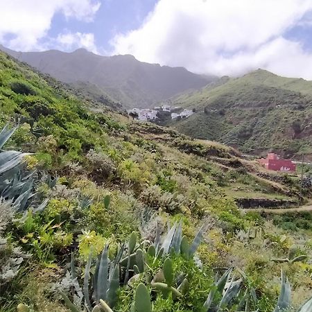 Casa-Solarium En La Naturaleza 圣克鲁斯-德特内里费 外观 照片