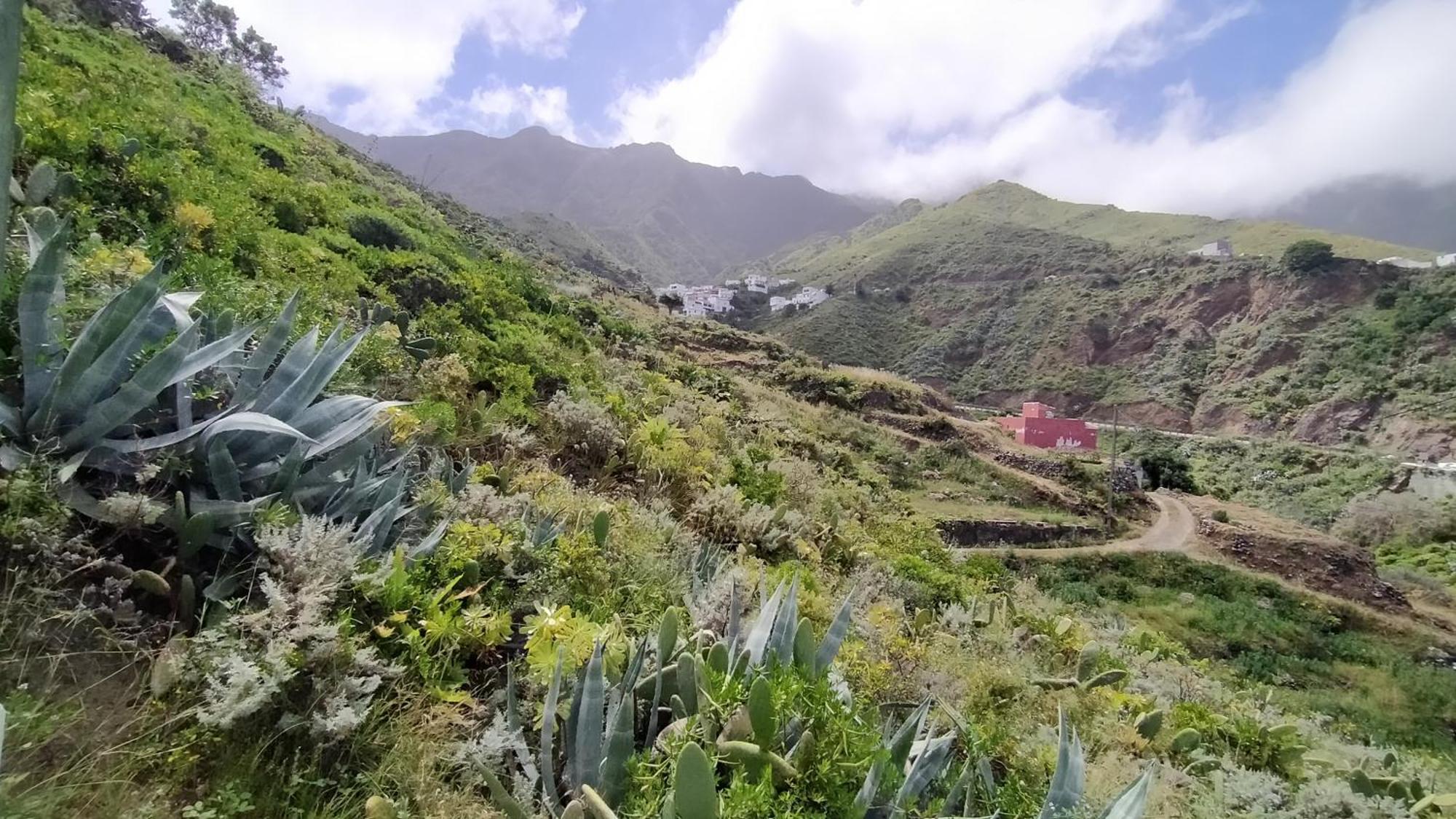 Casa-Solarium En La Naturaleza 圣克鲁斯-德特内里费 外观 照片